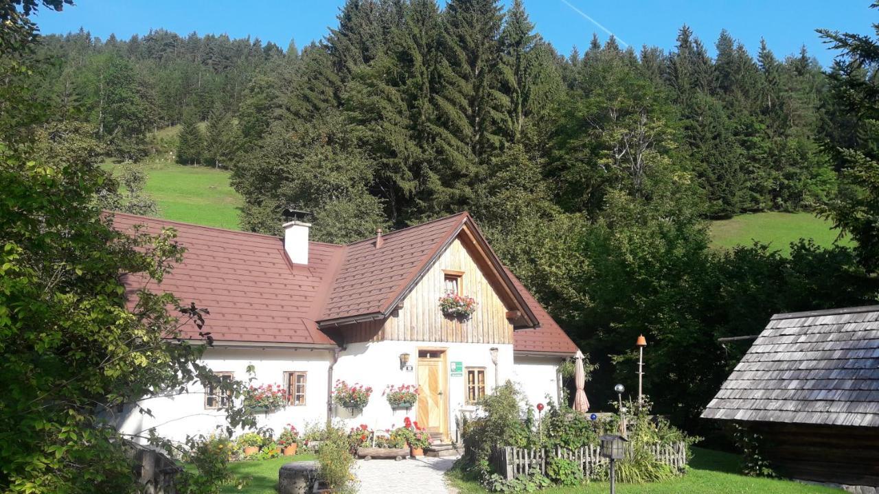 Ferienhaus Lenzau Strohmarkt Bagian luar foto