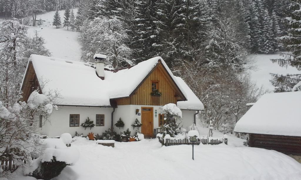 Ferienhaus Lenzau Strohmarkt Bagian luar foto